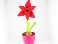 Crochet pattern: Amaryllis / Knight's Star