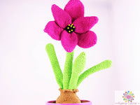 Crochet pattern: Amaryllis / Knight's Star