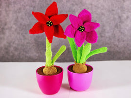 Häkelanleitung: Amaryllis / Ritterstern
